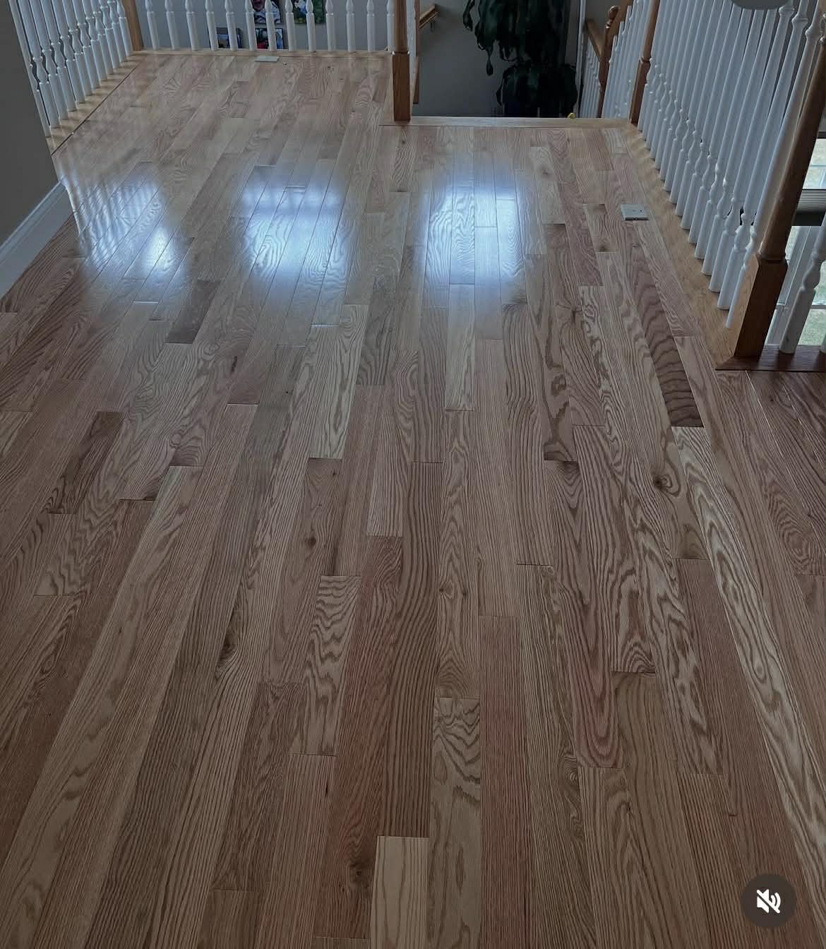 Hardwood hallway after